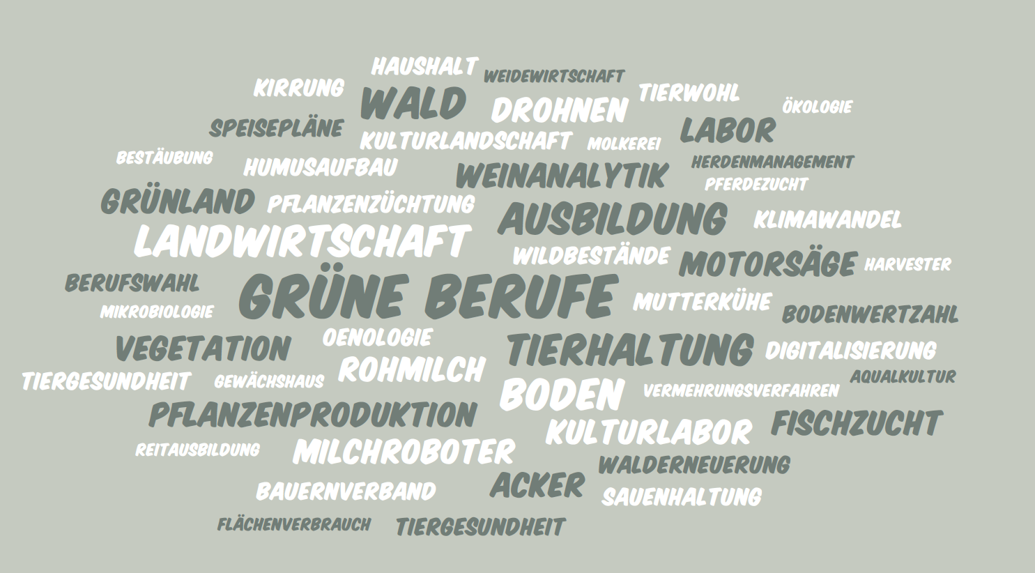WordCloud Klaus Wagner Präsident TBV