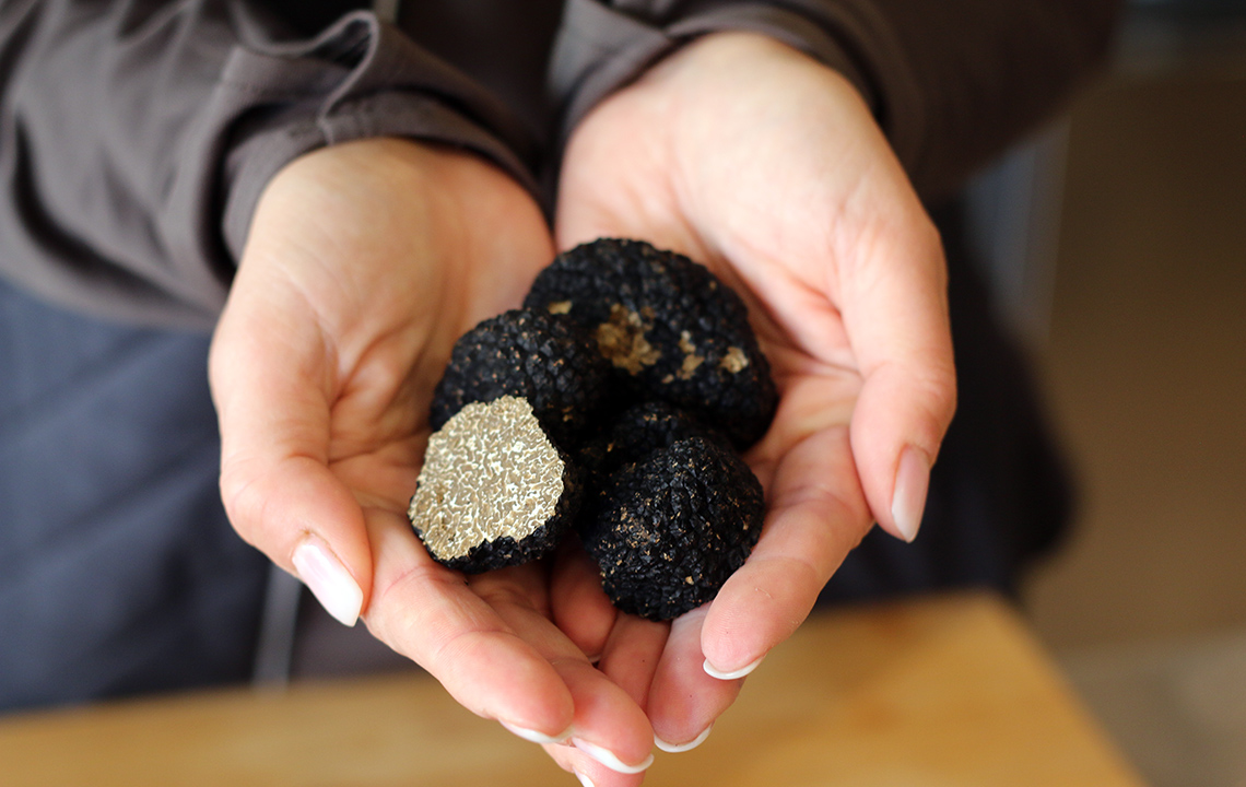 Wächst in Thüringen: Burgundertrüffel der Art Tuber aestivum (Urheber: Thüringer Aufbaubank)