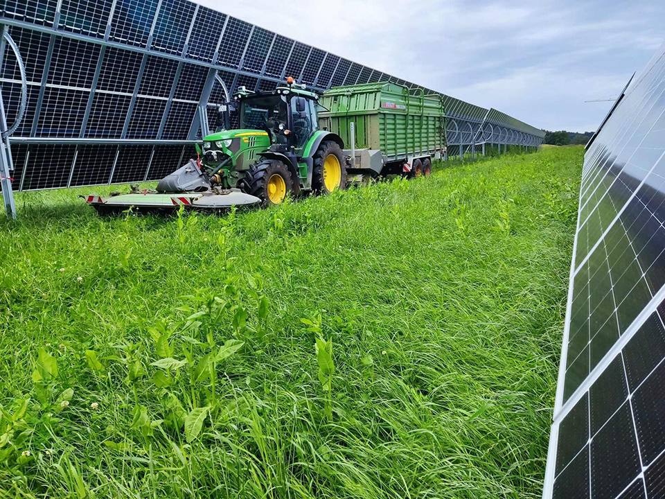 WB 33 APV 2 Grünfutterernte unter Anlage in Schlier