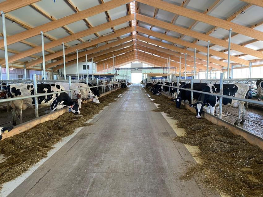 Ihre Erfahrungen zählen: Teilnahme an zwei Forschungsumfragen