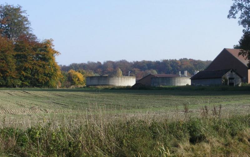 Plattform zu THG-Bilanzierung und Klimaschutz in der Landwirtschaft ist online