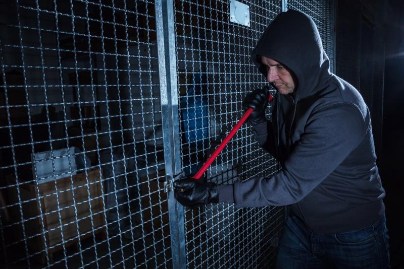 Stalleinbrüche: DBV veröffentlicht Handlungsempfehlungen für betroffene Tierhalter