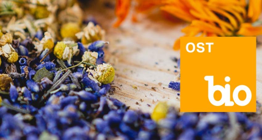 Screenshot unter https://biomessen.info/bioost/, am 8.12.2025