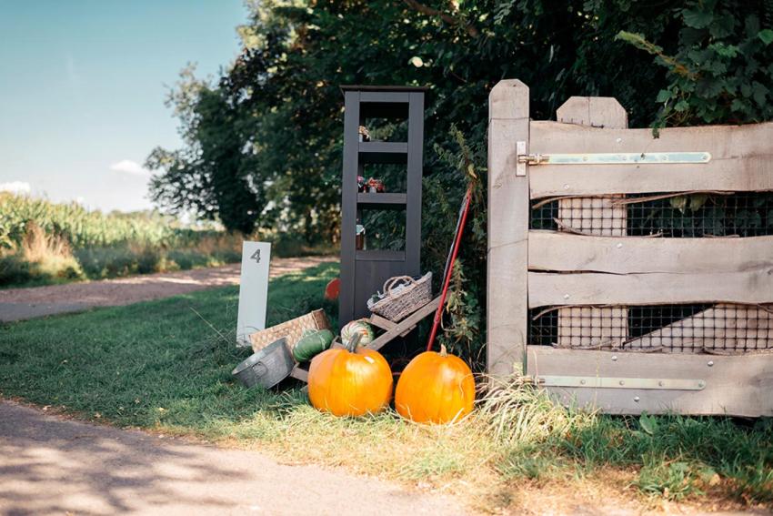 Landwirtschaft trifft Tourismus II: Vertriebsweg Tourismus – von der Theorie zur Praxis