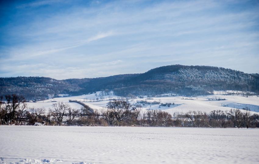 Fachausschuss Agrarpolitik: Herausforderungen ab 2023 – Operation nicht gelungen, Patient frustriert