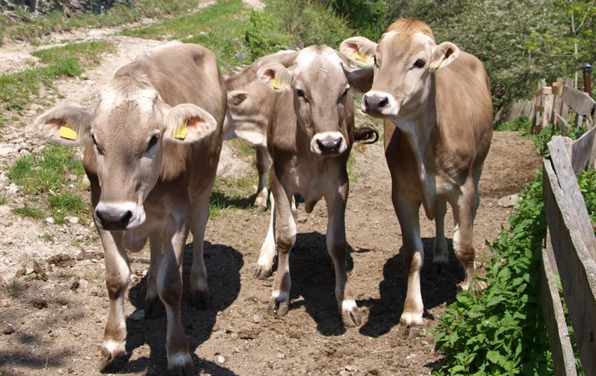 AGROCHANGE: Schnell sein lohnt sich. Jetzt noch anmelden!