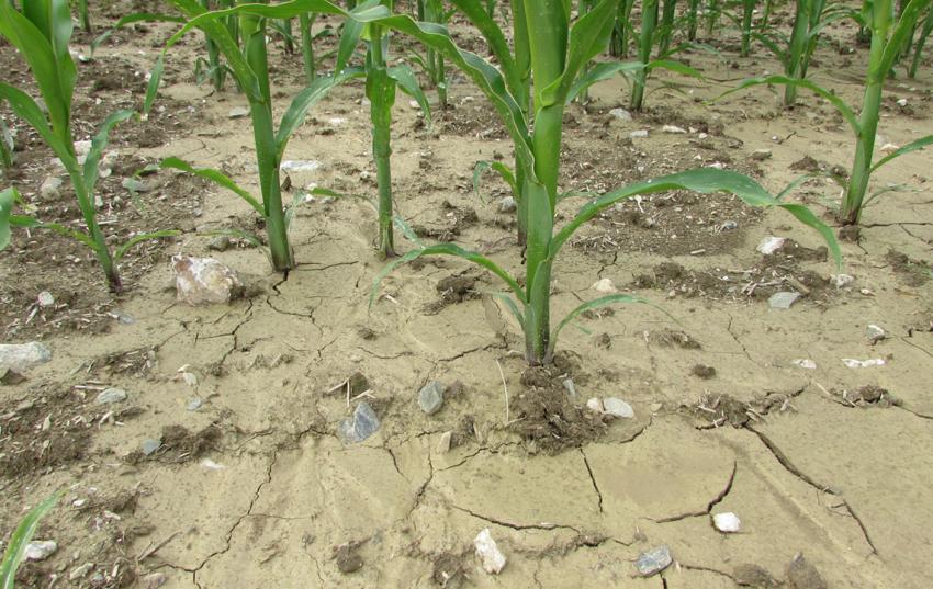 Präsentation der Schulung zum Erosionsschutzplaner verfügbar