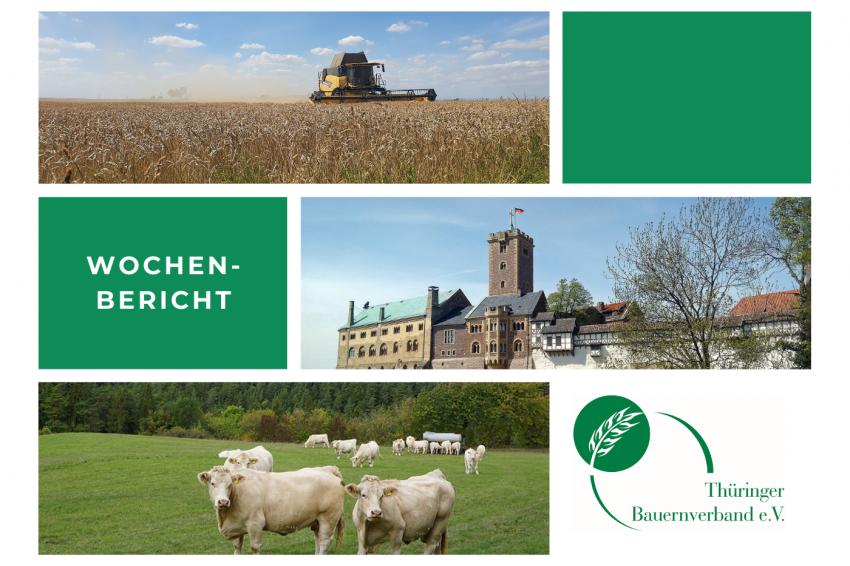 Wochenbericht 29. KW 2021