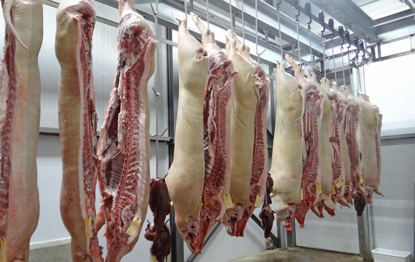 Fachausschuss Schweinefleisch des Deutschen Bauernverbandes tagte