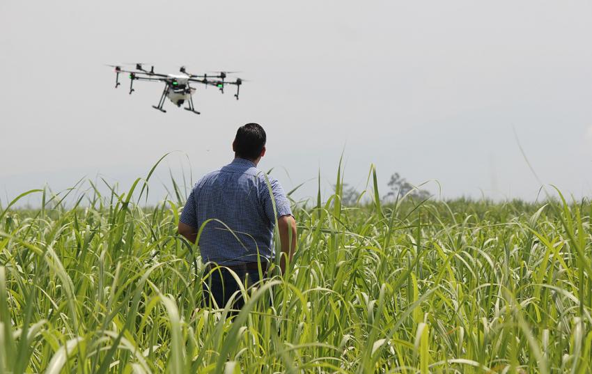LFE-Förderung in Thüringen: Geänderte Einreichungsfristen zur Antragsstellung 2022