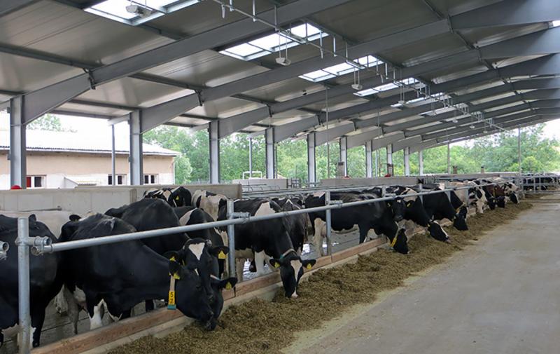 Schulbildung: Realistischer Blick auf die Landwirtschaft nötig