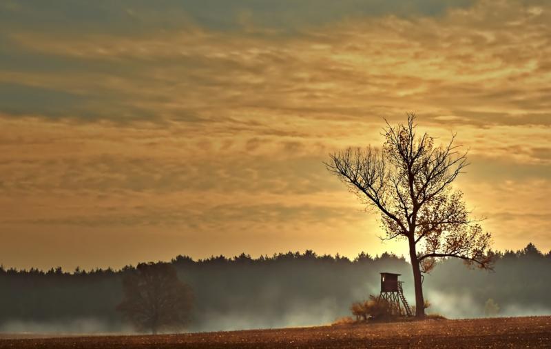 Ergebnisse des Jagdjahres 2022/2023