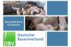 Bauerninfo Schwein 33/2022