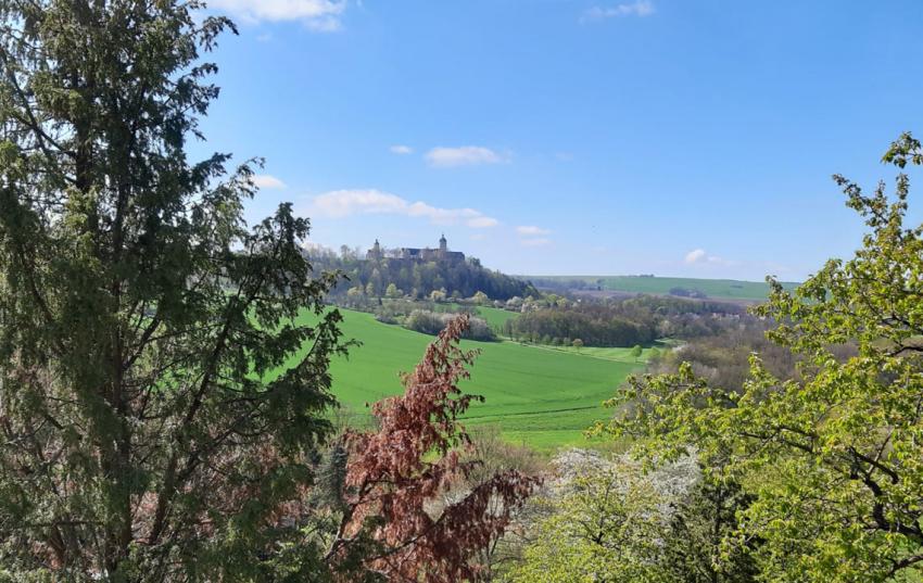 Internationaler Tag der Steuobstwiesen bot Anlass für geführte Wanderung rund um Ludwigshof