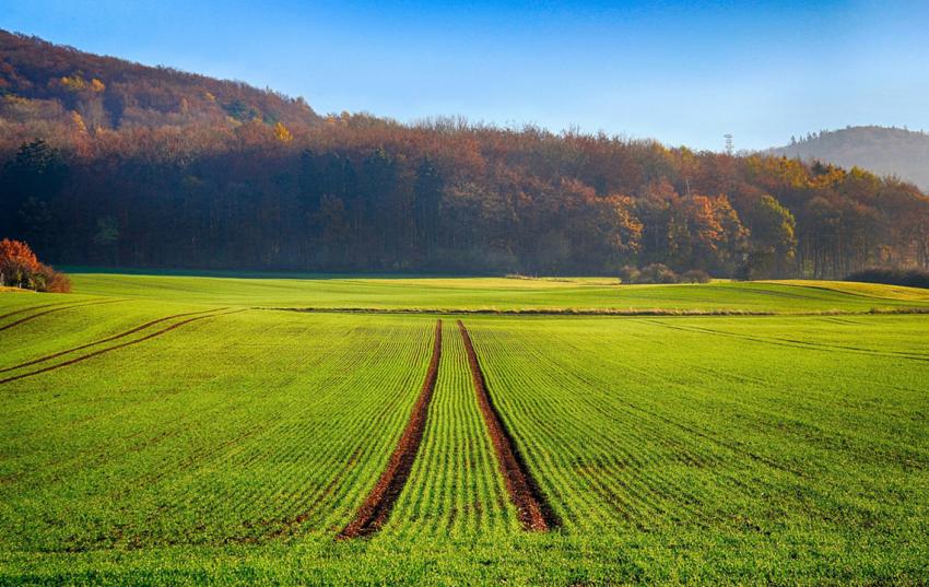 Letzter Termin für Anzeige Ausnahmeregelung Mindestbodenbedeckung (GLÖZ 6): 30.September