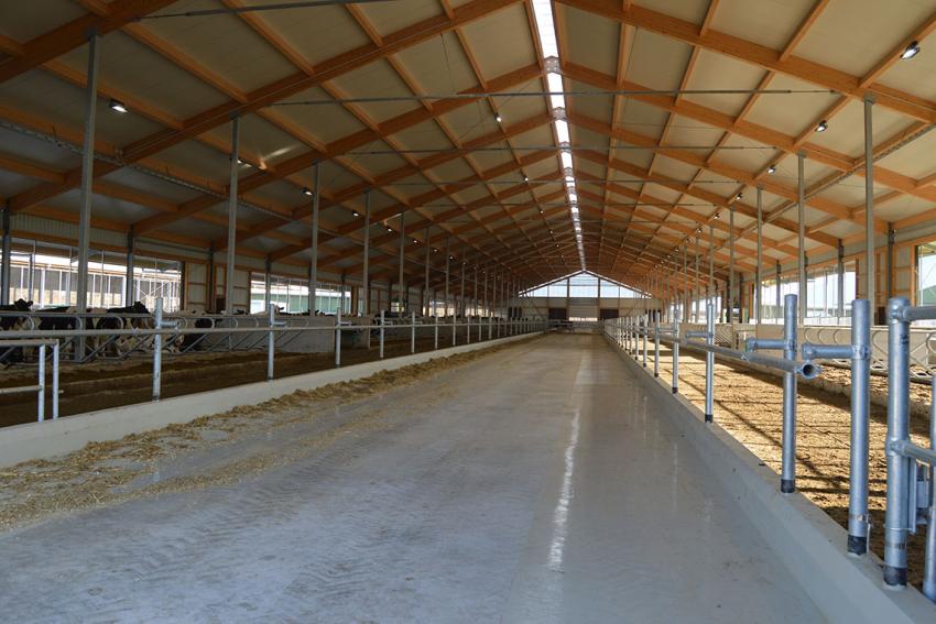 AG Baurecht des Deutschen Bauernverbandes fordert Tierwohl-Verbesserungsgenehmigung ohne Tierbestandabbau