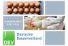 DBV Bauerninfo Geflügel 44/2021