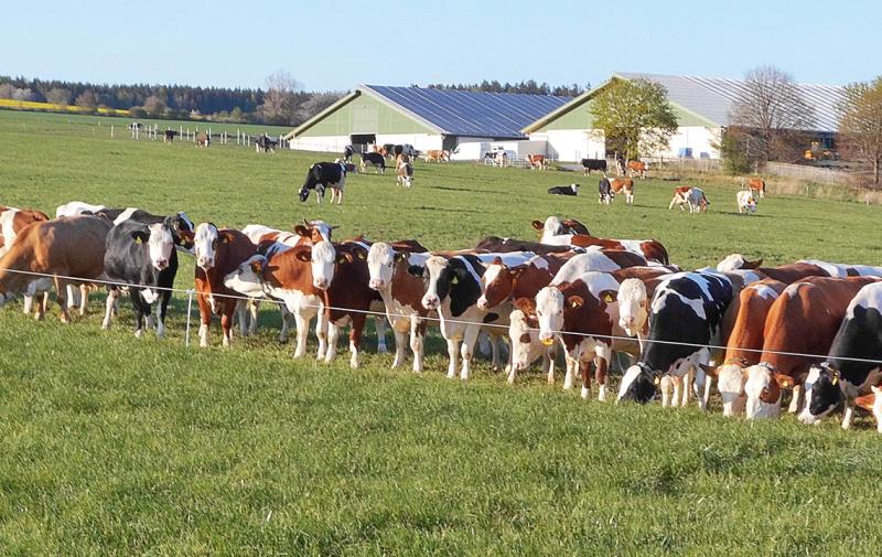 ERVEMA agrar Gesellschaft Wöhlerdorf mbH gewinnt den diesjährigen Bundeswettbewerb Landwirtschaftliches Bauen