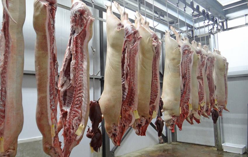 Umfrage der Thüringer Landgesellschaft zur regionalen Schlachtung - jetzt teilnehmen!