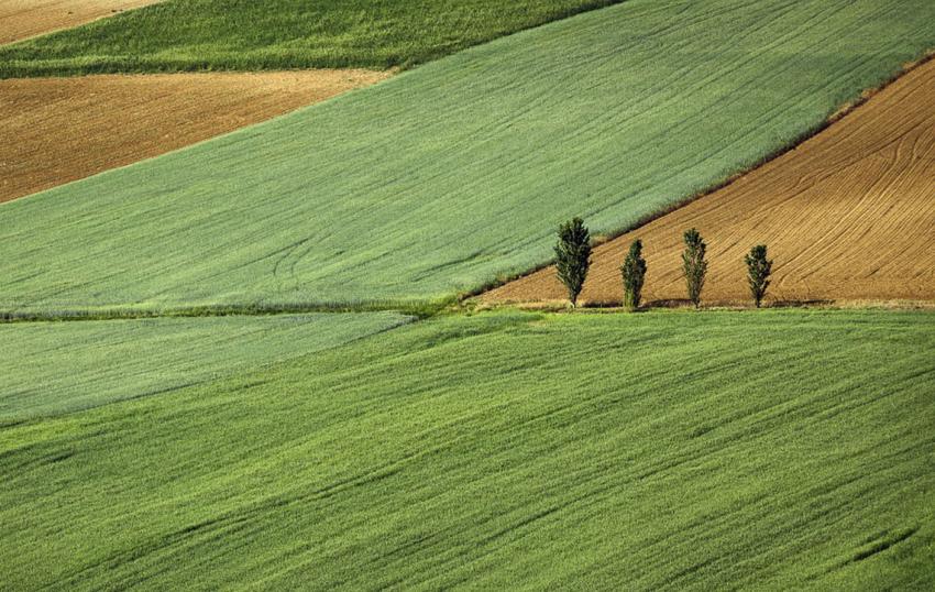 Grundsteuerreform –  was steht 2022 an?