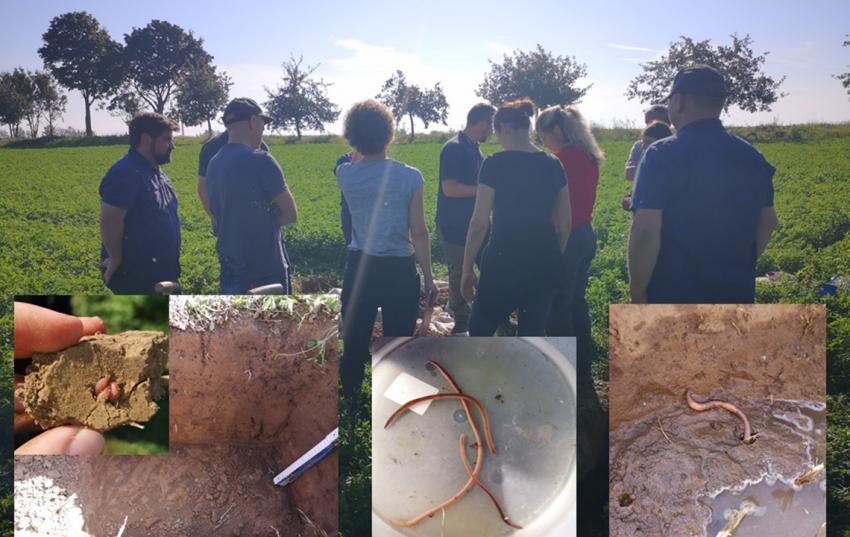 Gewässerschutzkooperationen Teilprojekt Erosion – Feldtag rund um den Regenwurm