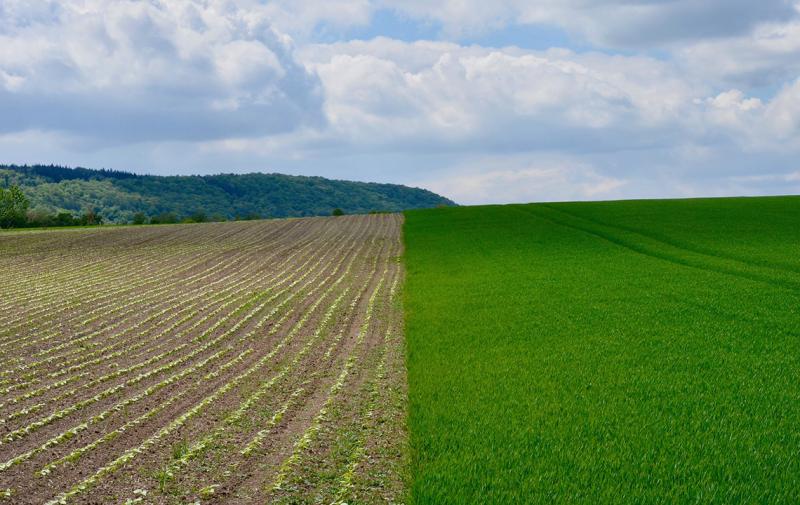 Informationsveranstaltung zur Grundsteuerreform