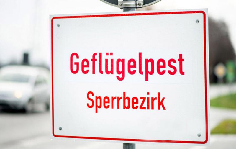 Tiere vor Infektionskrankheiten schützen: Umfrage zum Thema Biosicherheit in tierhaltenden Betrieben