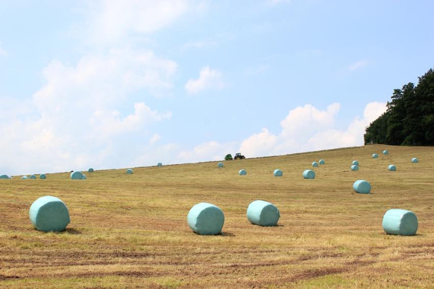 TBV-Futterbörse für alle landwirtschaftlichen Betriebe in Thüringen: Angebote und Gesuche kostenlos einstellen!