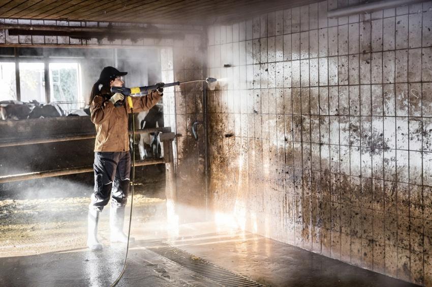 Kärcher-Aktion: Danach kräht der Hahn!