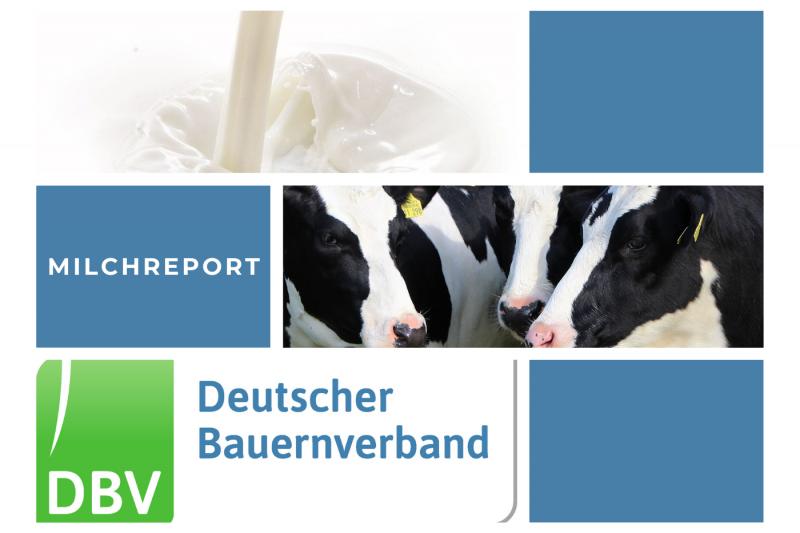 DBV Milchinfo 47/2025