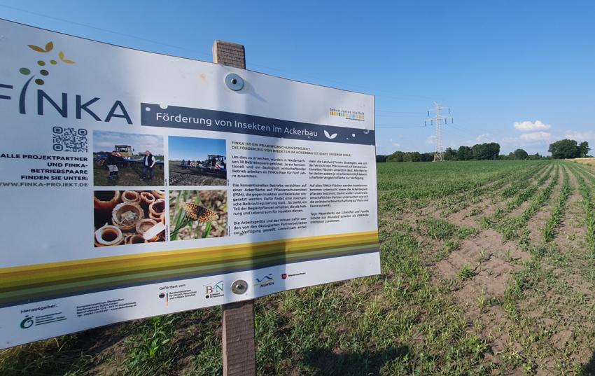 DBV-Fachausschuss Umwelt: Austausch im Land der Moore