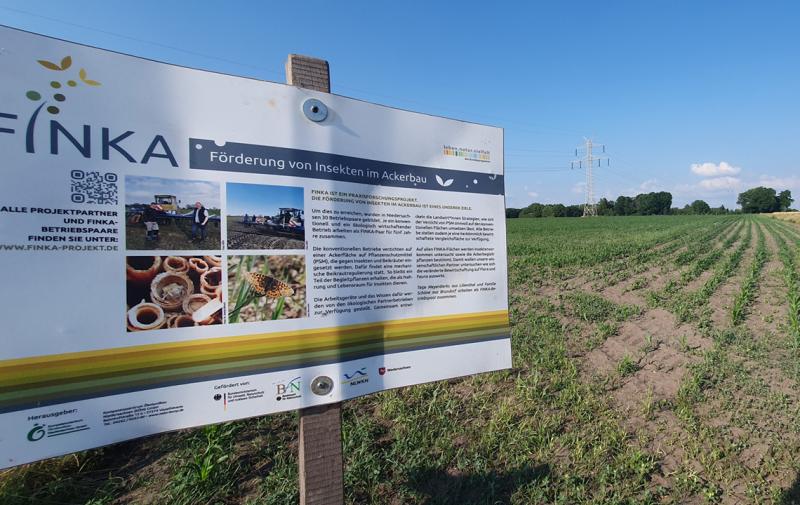 DBV-Fachausschuss Umwelt: Austausch im Land der Moore