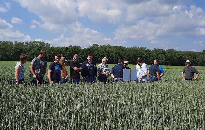 Feldtag im Landkreis Nordhausen: Winterweizen – Sortenversuch der Agrar GmbH Mauderode in Herreden