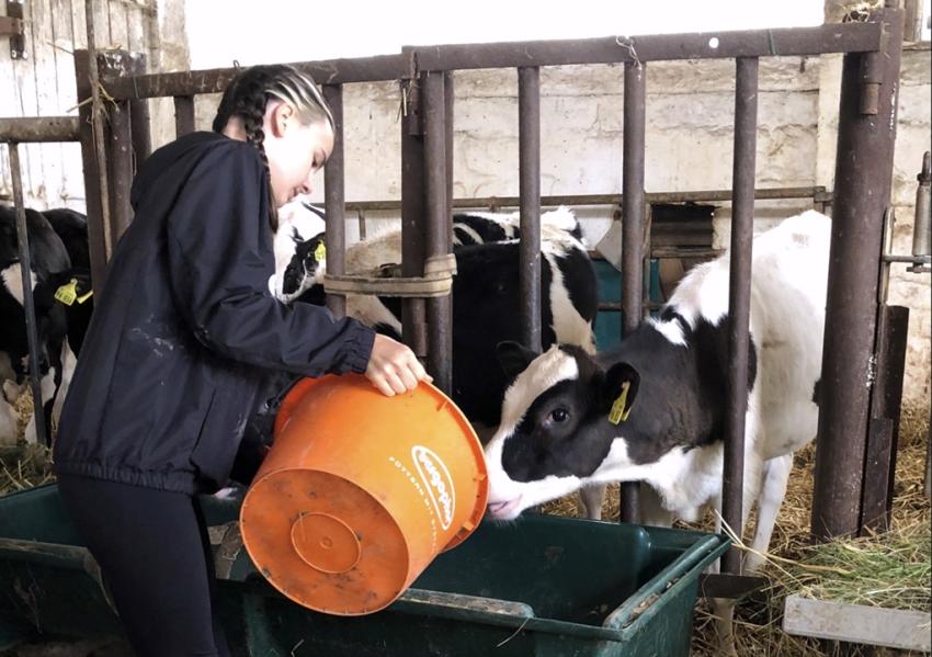 Jetzt noch Anmelden: Weiterbildung zur Bauernhofpädagogik