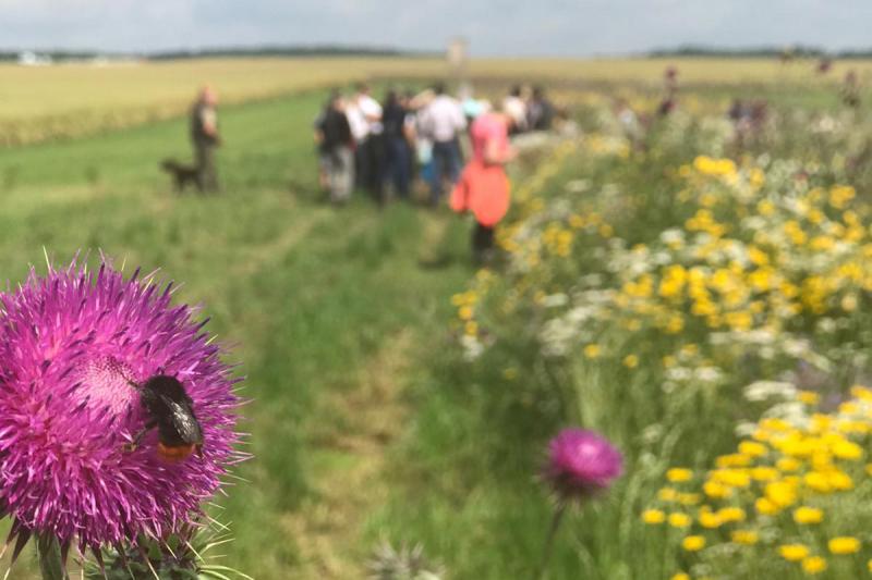 Geführte Wanderung durch die LandWIRTschaft des Saale-Orla-Kreises