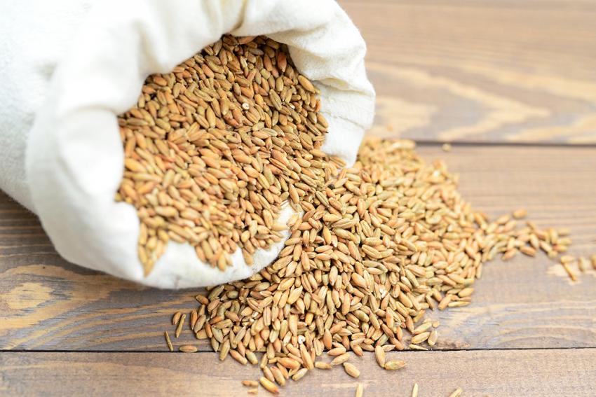 Züchtungsfortschritt sichern – Nachbauerklärung online einreichen!