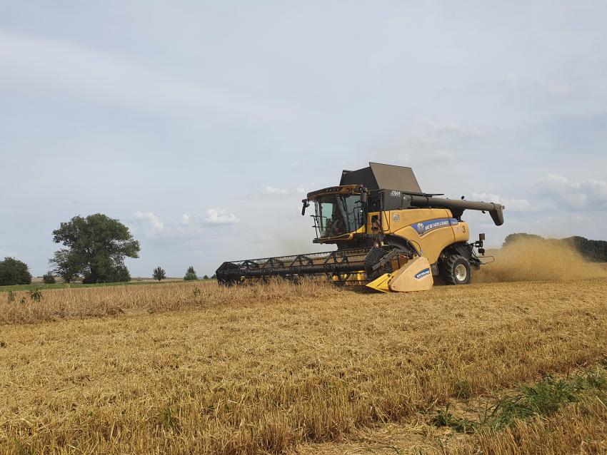 Medieneinladung: Gemeinsame Erntepressekonferenz des Thüringer Bauernverbandes und des Thüringer Ministeriums für Infrastruktur und Landwirtschaft