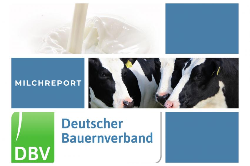 DBV Milchinfo 49/2022