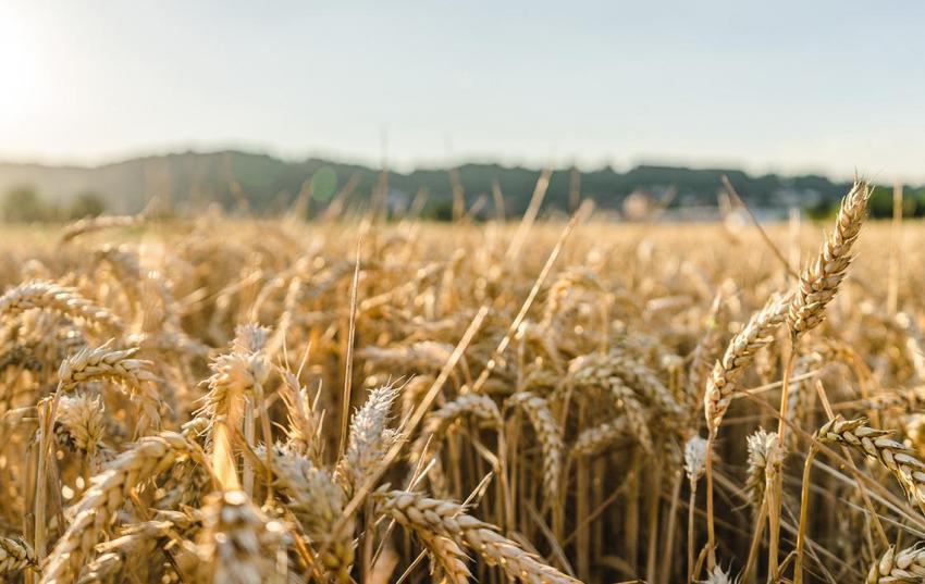 Bundesminister Özdemir will 4 Prozent-Ackerbrache und Fruchtwechsel-Vorgabe im Antragsverfahren 2023 aussetzen