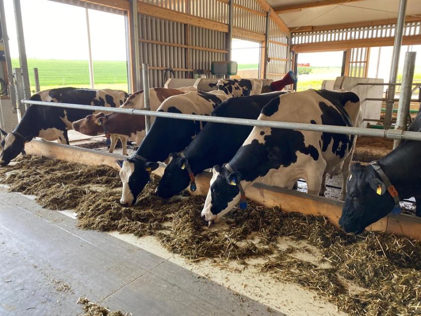 Erfahrungsaustausch zum Antibiotikaminimierungskonzept