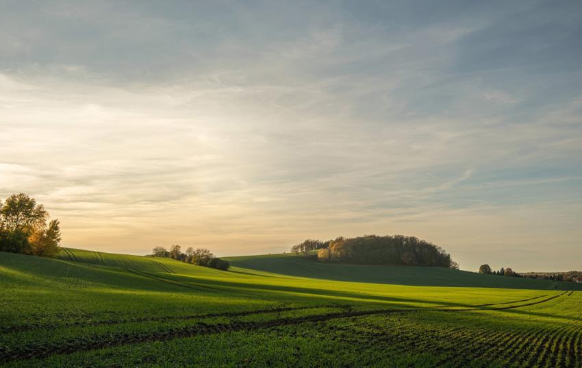 BVVG-Flächen: Streit über Verkaufsstopp beendet